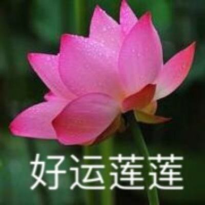 轨迹王座游戏下载